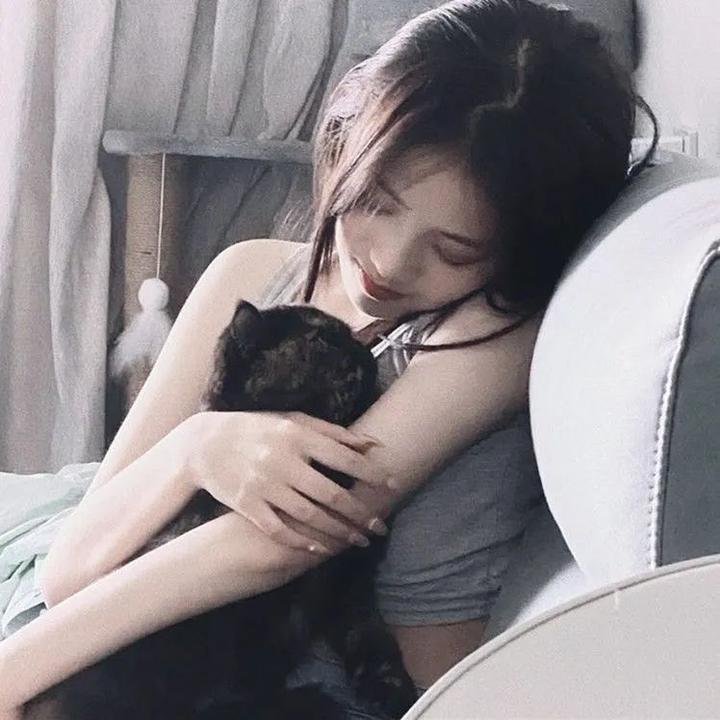 猛龙征东 海报